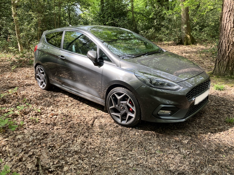 Fiesta ST-3