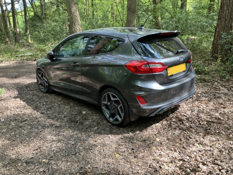 Fiesta ST-3 rear side view